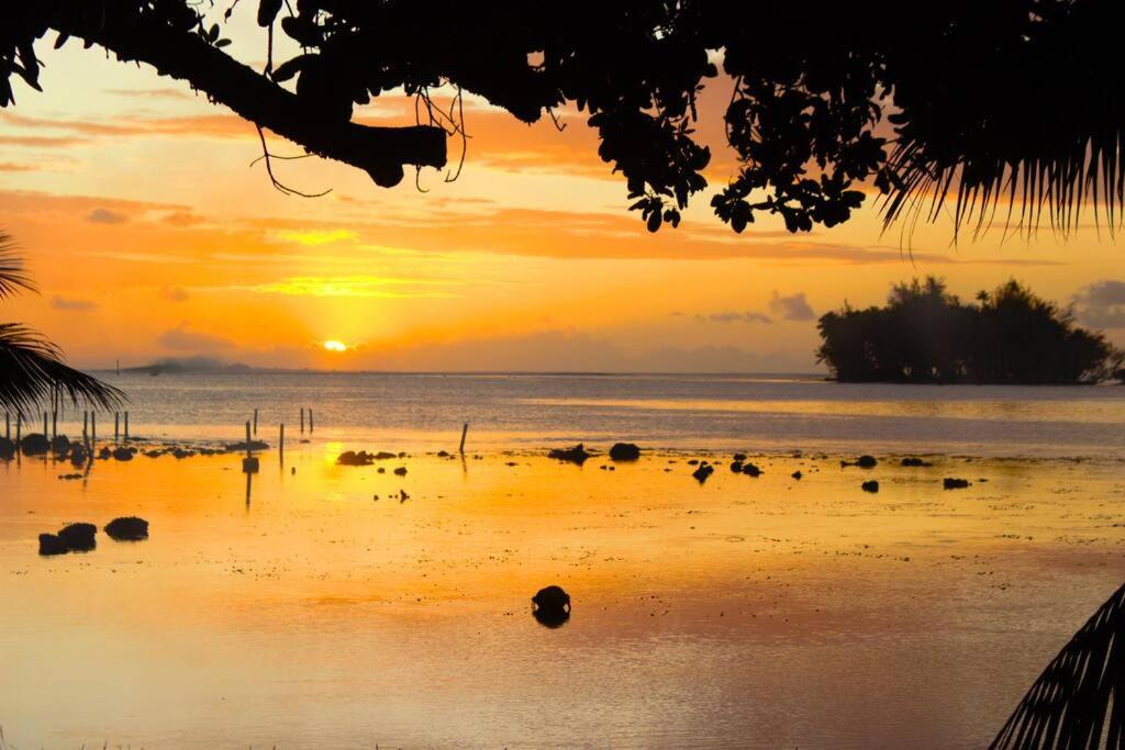 Bungalow Tiarii, Avec Acces Direct A Une Plage Privee Tevaitoa Esterno foto